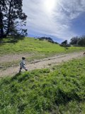 Solitude in the Greens: A Stroll in McLaren Park