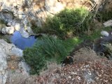 Majestic Stream in Angeles National Forest