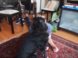 A Cozy Moment with Furry Friend