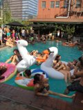 Poolside Paradise