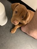 Bathroom Buddy