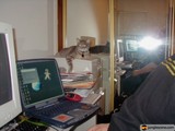 The Working Cat