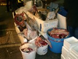 Fish Market in Okachimachi