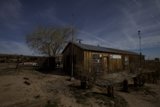Desert Oasis Cabin