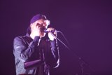 The Entertainer's Spotlight