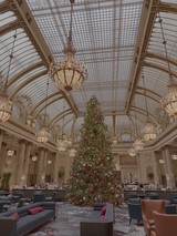Elegant Christmas Tree in Grand Hotel Ballroom