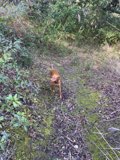 A Walk in the Wild