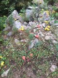 A Wild and Rocky Landscape