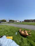 Relaxing in the Park