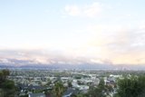 A Bird's Eye View of the Urban Jungle