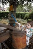 Musical Explorations in Nature