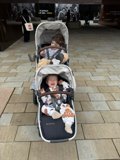 Strollers at the Museum