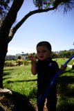 Summer Frolics at Delores Park