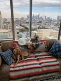 Cozy Living Room Vibes