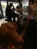 Man's Best Drinking Buddy