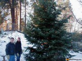 Christmas Love in the Snow