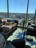 Comfortable Living Room with Furry Companion