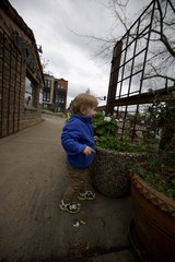 Toddler Exploring Urban Community Garden on Cloudy Day
