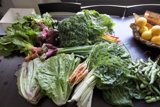 Farm Fresh Produce
