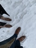 Winter Walk