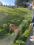 A Walk in the Park