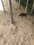 Under the Table