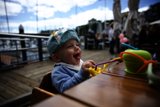 Little Explorer's Brunch