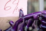 The Purple Reign of Eggplant
