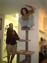 Man Sits on Cat Tree