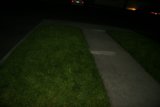 A Tranquil Night Stroll