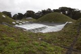 Green Roof Oasis