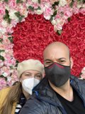 Masked Lovebirds in Front of Heart-Shaped Flower Arrangement