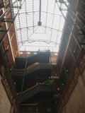 Atrium Under the Skylight