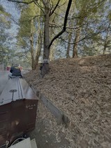 Canal Boat Journey Through Wooded Waterway