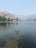 Mountain Lake Pooch