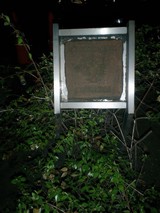 Sign amidst the foliage