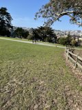 Serenity in the Park