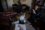 Cozy Afternoon - Christmas Day, 2011