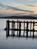 Serenity at Bodega Harbor