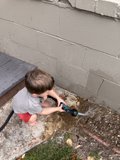 Little Adventurer at Play