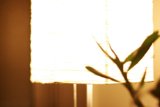 Illuminating Home Decor