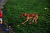 Playtime in the park
