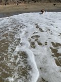Beachside Playtime