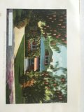 The Art of Nature in a Vintage Book