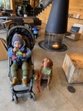 A Playful Afternoon: Baby Wesley and his Companion