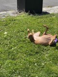 Relaxing Day in the Park