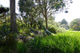 Jurassic Pastures