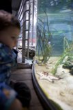 Awe at the Aquatic Wonders: Wesley's Exploration