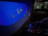 Underwater Marvels