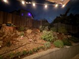 Enchanted Evening Garden